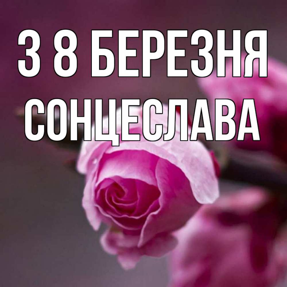 Открытка на каждый день з підписом, Сонцеслава З 8 БЕРЕЗНЯ весна Прикольна листівка з побажанням онлайн скачати безкоштовно 