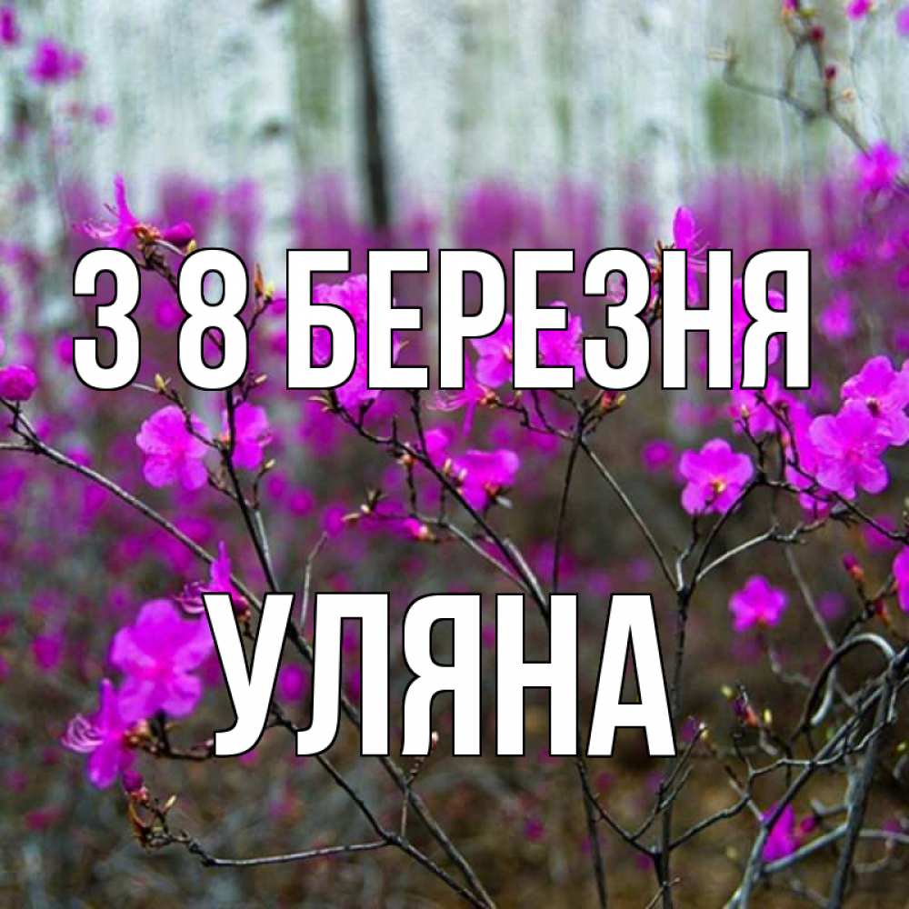 Открытка на каждый день з підписом, Уляна З 8 БЕРЕЗНЯ дикие цветы Прикольна листівка з побажанням онлайн скачати безкоштовно 