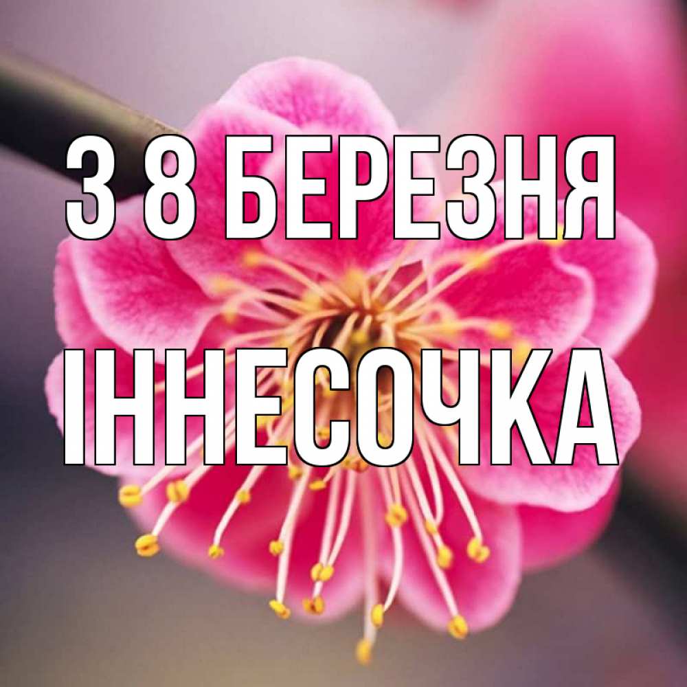 Открытка на каждый день з підписом, Іннесочка З 8 БЕРЕЗНЯ цветы Прикольна листівка з побажанням онлайн скачати безкоштовно 