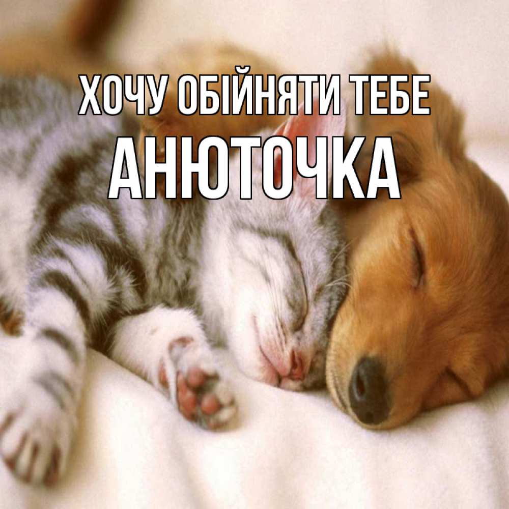 Открытка на каждый день з підписом, Анюточка Хочу обійняти тебе пес и котенок Прикольна листівка з побажанням онлайн скачати безкоштовно 