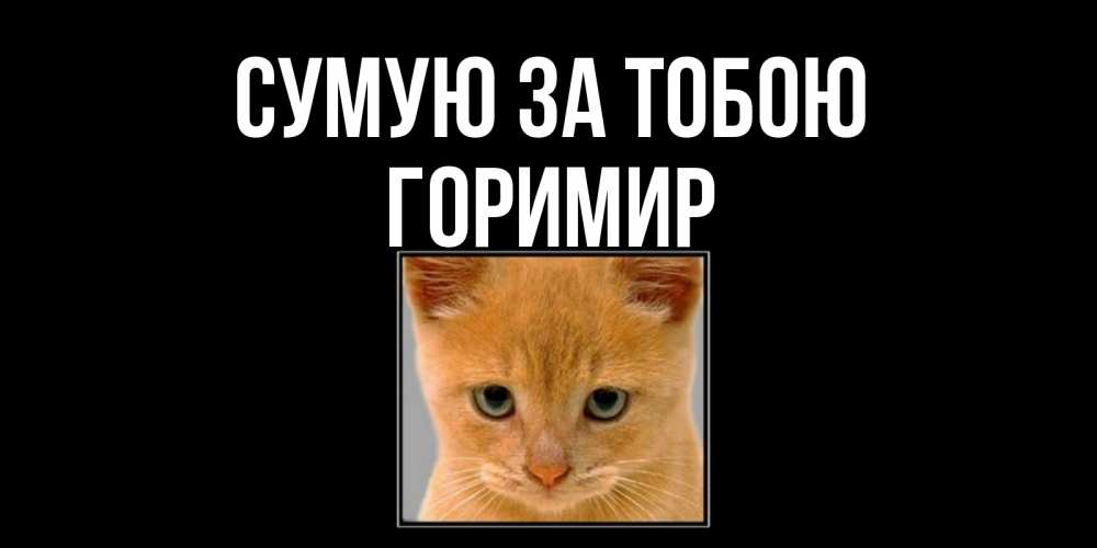 Открытка на каждый день з підписом, Горимир Сумую за тобою открытки рыжий котенок скучает по тебе Прикольна листівка з побажанням онлайн скачати безкоштовно 