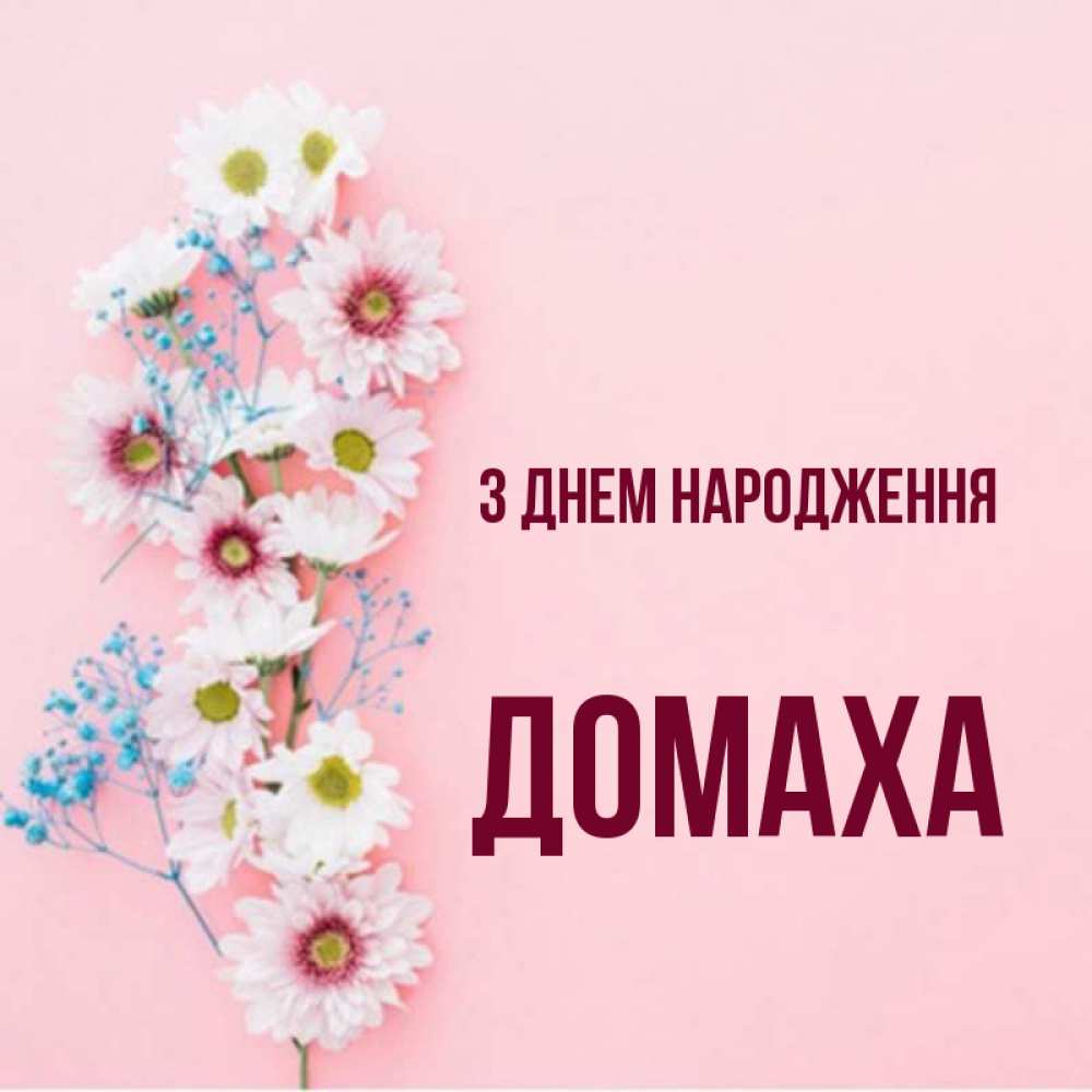 Открытка на каждый день з підписом, Домаха З Днем народження Родная моя с днем рождения тебя картинка с цветами белыми и голубыми Прикольна листівка з побажанням онлайн скачати безкоштовно 