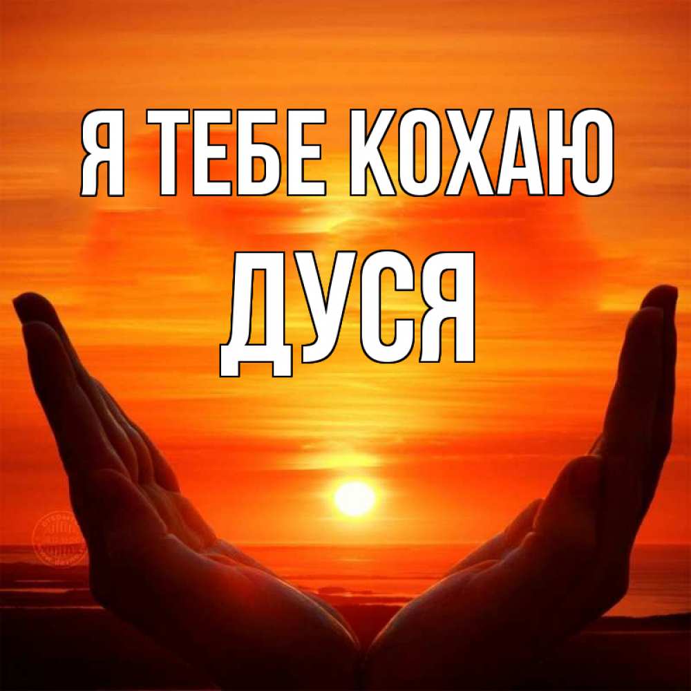 Открытка на каждый день з підписом, Дуся Я тебе кохаю в руках Прикольна листівка з побажанням онлайн скачати безкоштовно 