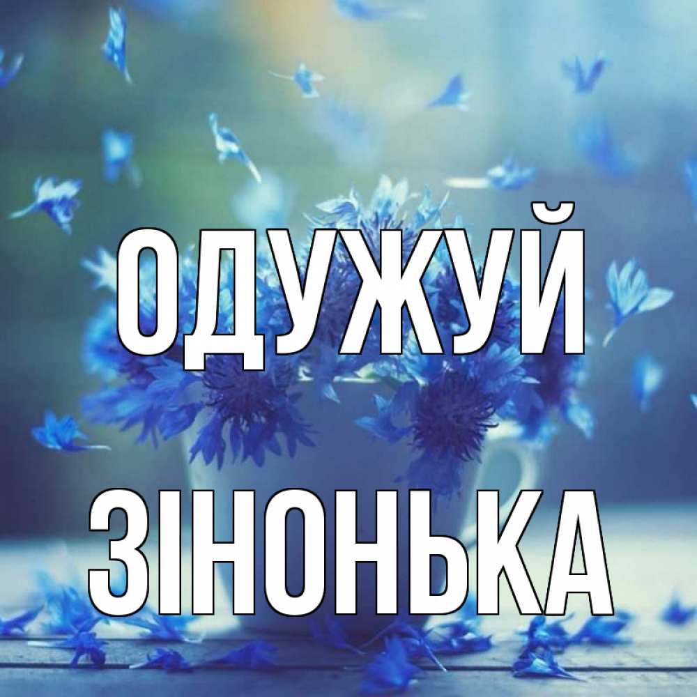 Открытка на каждый день з підписом, Зінонька Одужуй кружка с зельем и цветами Прикольна листівка з побажанням онлайн скачати безкоштовно 