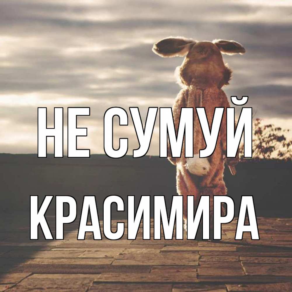 Открытка на каждый день з підписом, Красимира Не сумуй со спины Прикольна листівка з побажанням онлайн скачати безкоштовно 