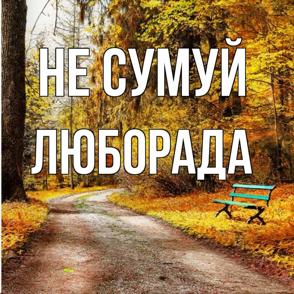 Открытка на каждый день з підписом, Люборада Не сумуй зеленая лавочка Прикольна листівка з побажанням онлайн скачати безкоштовно 