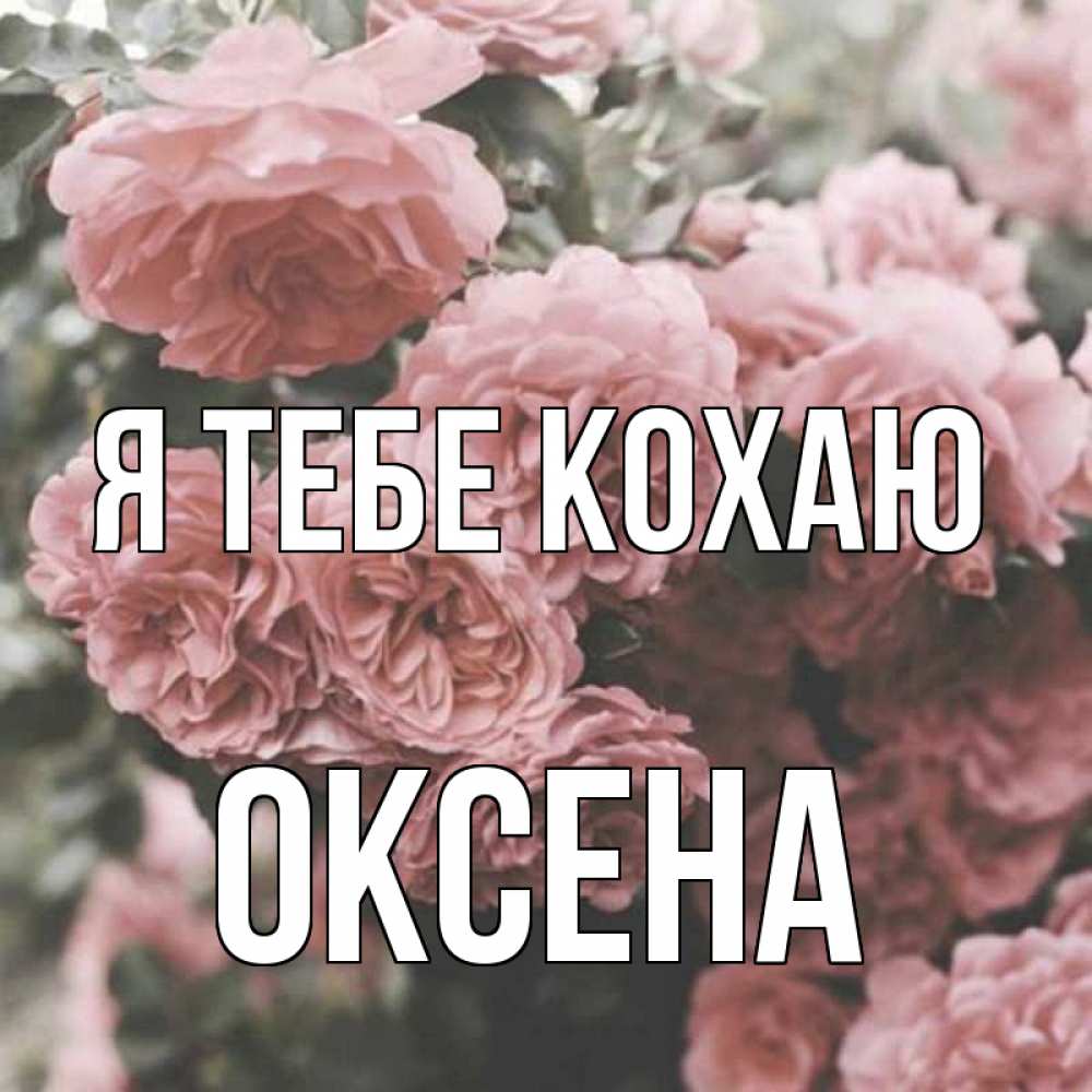 Открытка на каждый день з підписом, Оксена Я тебе кохаю розы 3 Прикольна листівка з побажанням онлайн скачати безкоштовно 