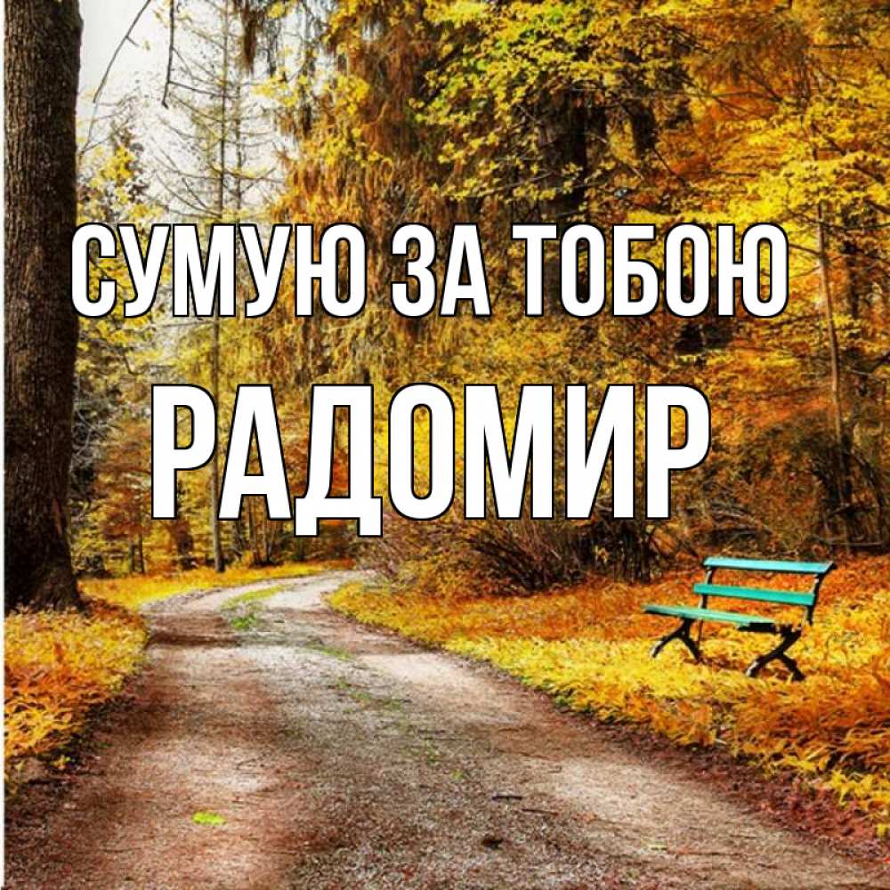 Открытка на каждый день з підписом, Радомир Сумую за тобою зеленая лавочка и осенний лес Прикольна листівка з побажанням онлайн скачати безкоштовно 