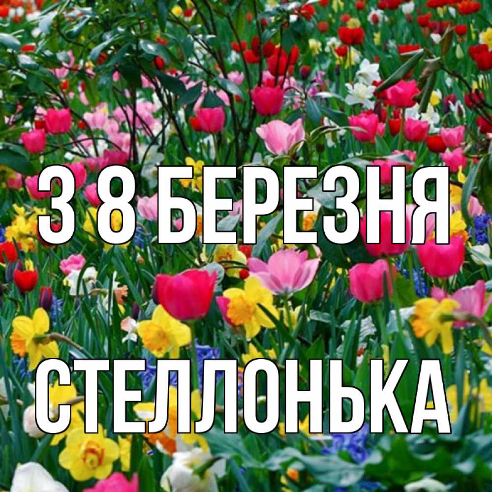 Открытка на каждый день з підписом, Стеллонька З 8 БЕРЕЗНЯ с международным женским днем поздравления для женщины Прикольна листівка з побажанням онлайн скачати безкоштовно 