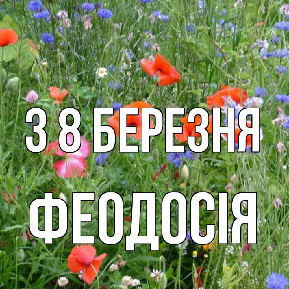Открытка на каждый день з підписом, Феодосія З 8 БЕРЕЗНЯ международный женский день 4 Прикольна листівка з побажанням онлайн скачати безкоштовно 