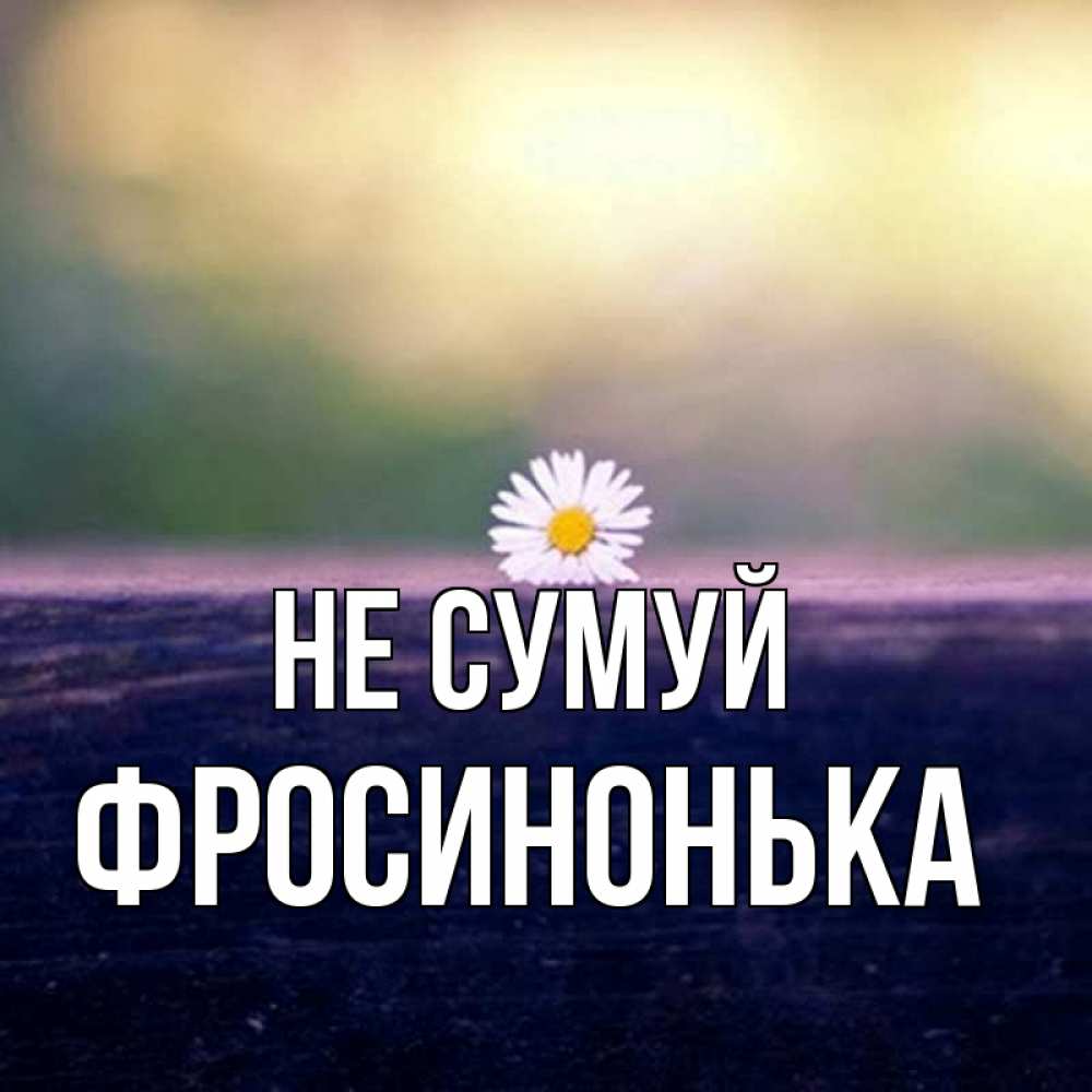Открытка на каждый день з підписом, Фросинонька Не сумуй красота Прикольна листівка з побажанням онлайн скачати безкоштовно 