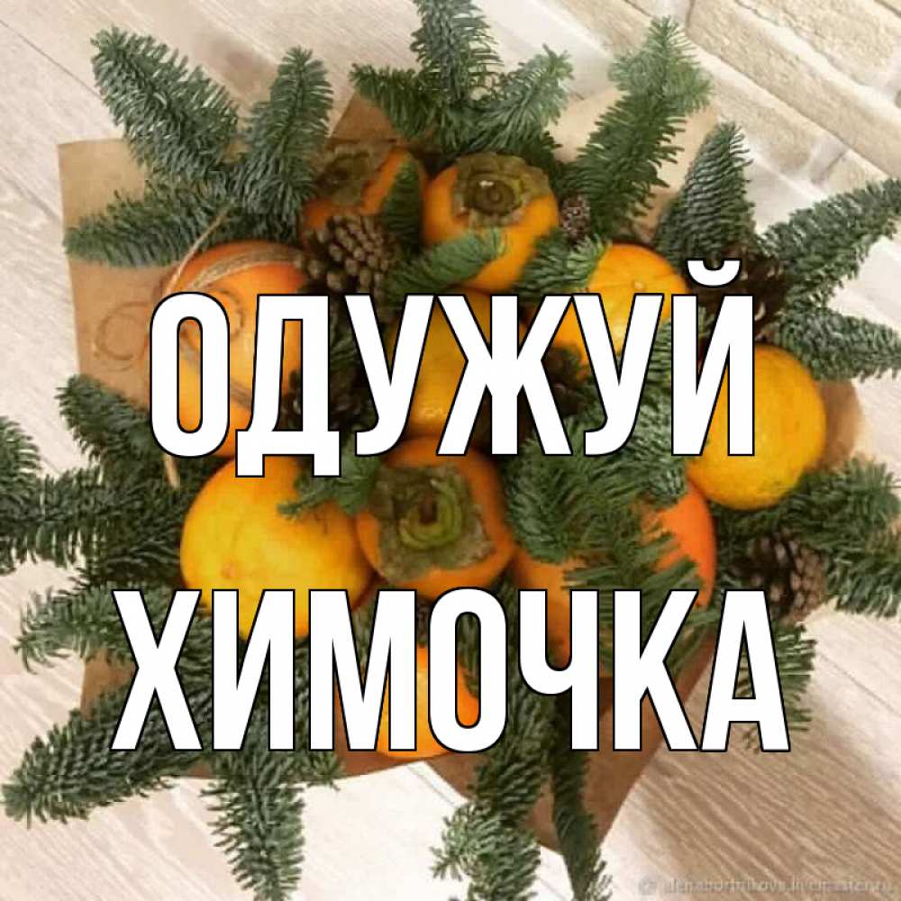 Открытка на каждый день з підписом, Химочка Одужуй апельсины и хурьма Прикольна листівка з побажанням онлайн скачати безкоштовно 