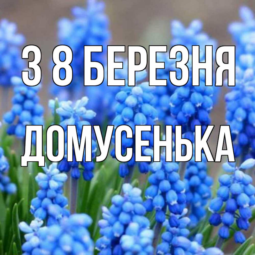 Открытка на каждый день з підписом, Домусенька З 8 БЕРЕЗНЯ Поздравительная открытка для женщин с цветами на праздничную дату Прикольна листівка з побажанням онлайн скачати безкоштовно 