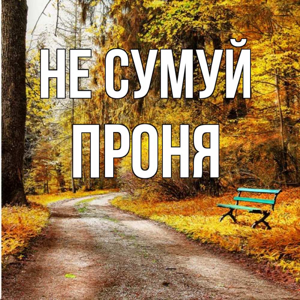 Открытка на каждый день з підписом, Проня Не сумуй зеленая лавочка Прикольна листівка з побажанням онлайн скачати безкоштовно 