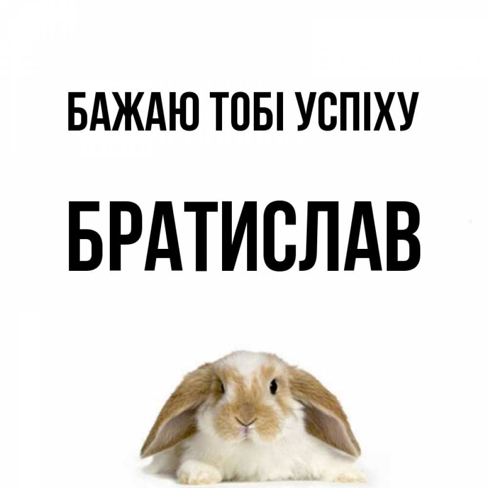 Открытка на каждый день з підписом, Братислав Бажаю тобі успіху открытки с произвольным текстом который можно вставить в открытку и создать ее самостоятельно бесплатно онлайн Прикольна листівка з побажанням онлайн скачати безкоштовно 