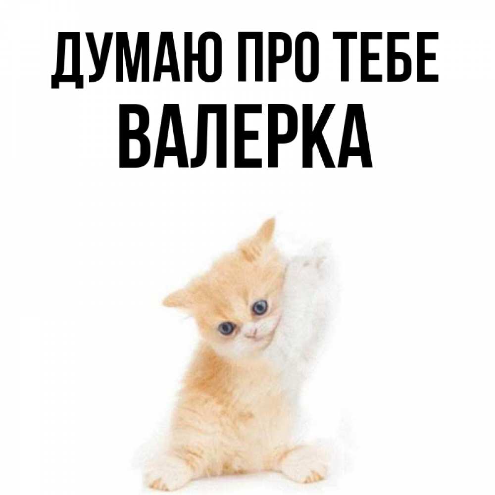 Открытка на каждый день з підписом, Валерка Думаю про тебе зверушки и милота Прикольна листівка з побажанням онлайн скачати безкоштовно 