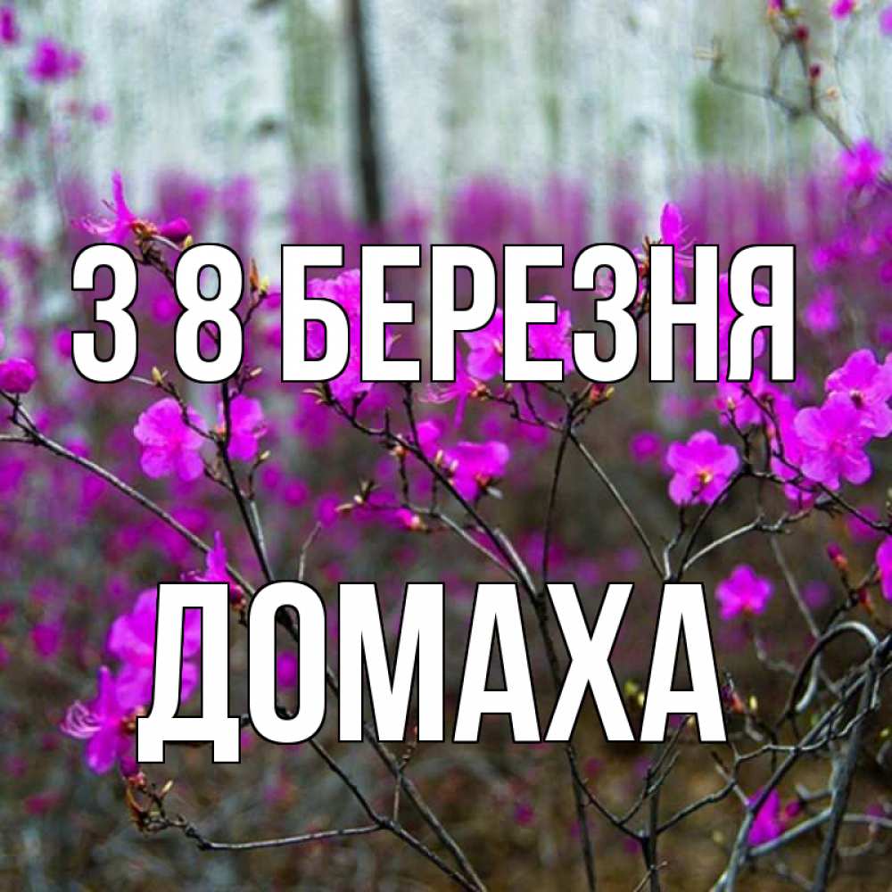 Открытка на каждый день з підписом, Домаха З 8 БЕРЕЗНЯ дикие цветы Прикольна листівка з побажанням онлайн скачати безкоштовно 