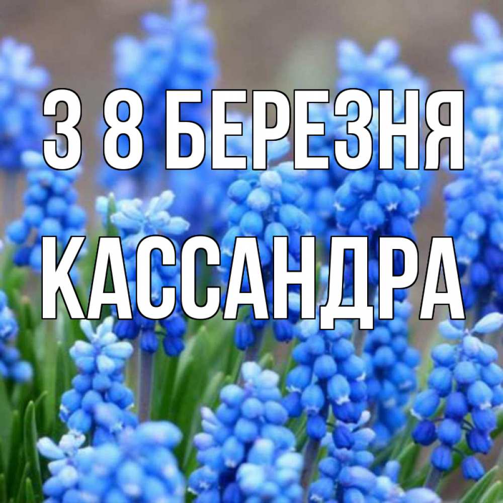 Открытка на каждый день з підписом, Кассандра З 8 БЕРЕЗНЯ Поздравительная открытка для женщин с цветами на праздничную дату Прикольна листівка з побажанням онлайн скачати безкоштовно 