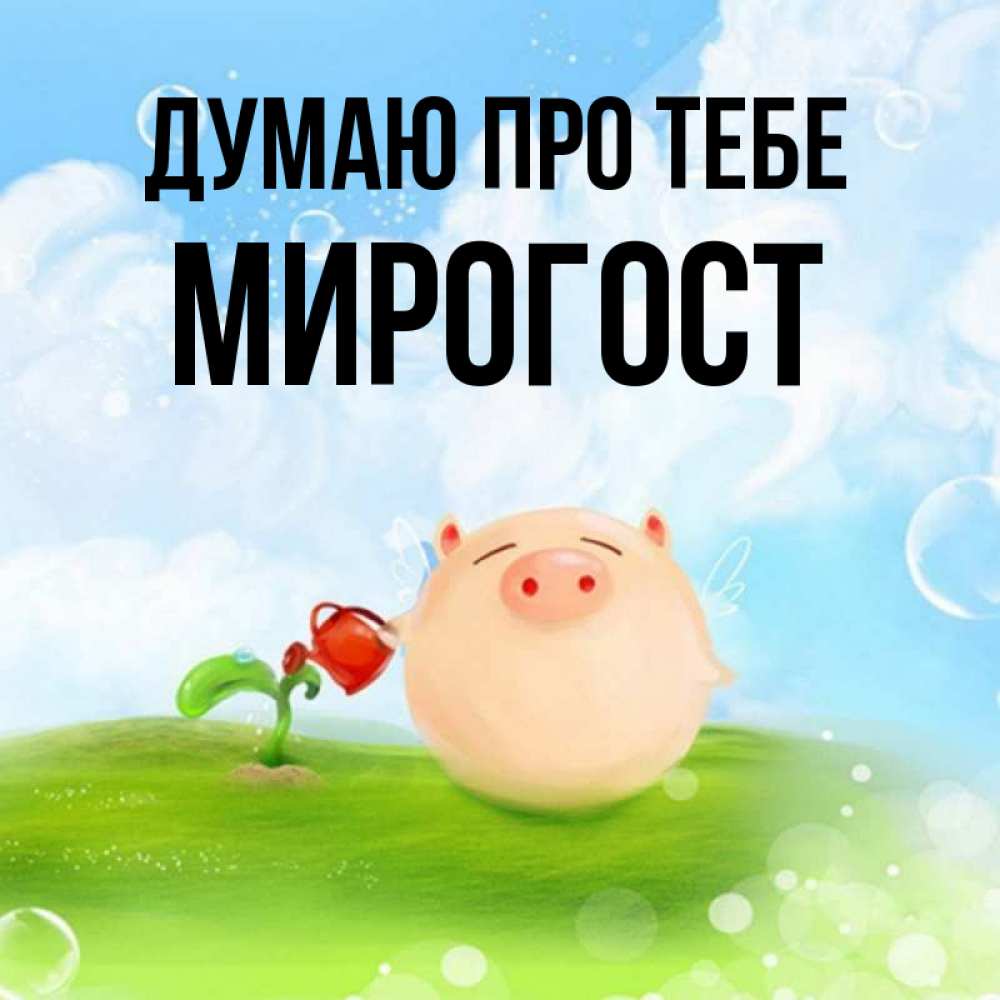 Открытка на каждый день з підписом, Мирогост Думаю про тебе позитивная свинюшка Прикольна листівка з побажанням онлайн скачати безкоштовно 