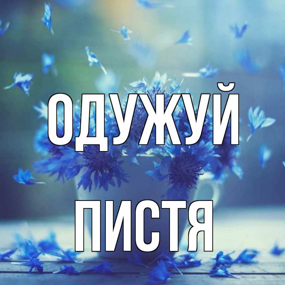 Открытка на каждый день з підписом, Пистя Одужуй кружка с зельем и цветами Прикольна листівка з побажанням онлайн скачати безкоштовно 