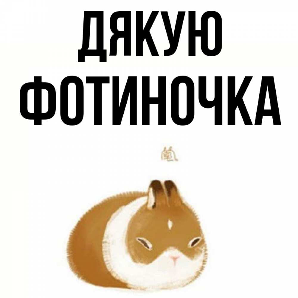 Открытка на каждый день з підписом, Фотиночка Дякую коричнево белый домашний питомец Прикольна листівка з побажанням онлайн скачати безкоштовно 