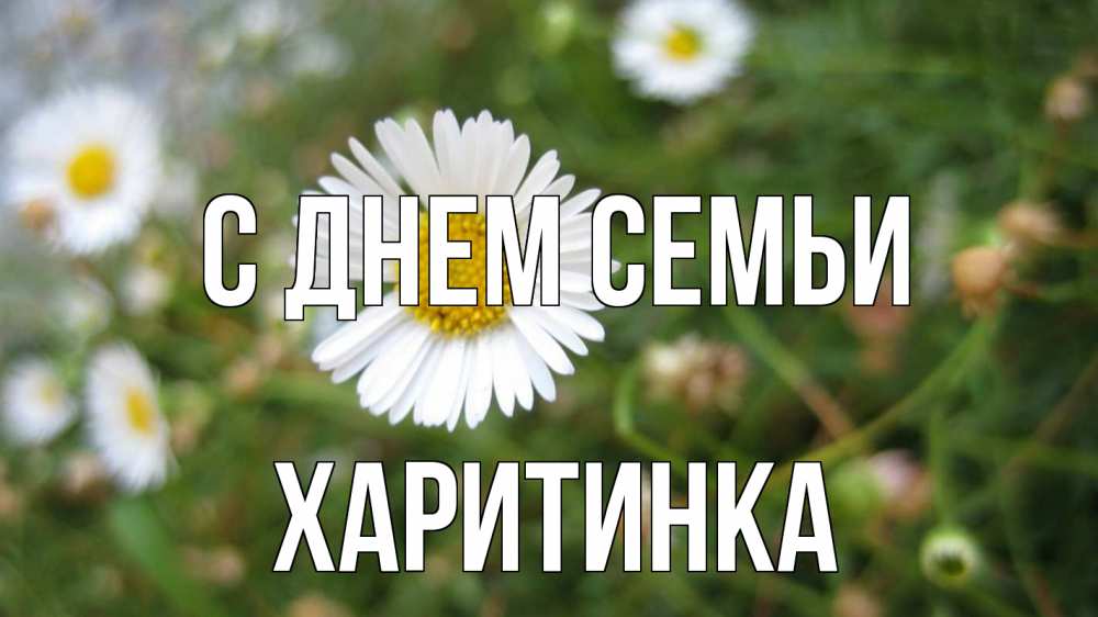 Открытка на каждый день з підписом, Харитинка С днем семьи с днем семьи Прикольна листівка з побажанням онлайн скачати безкоштовно 