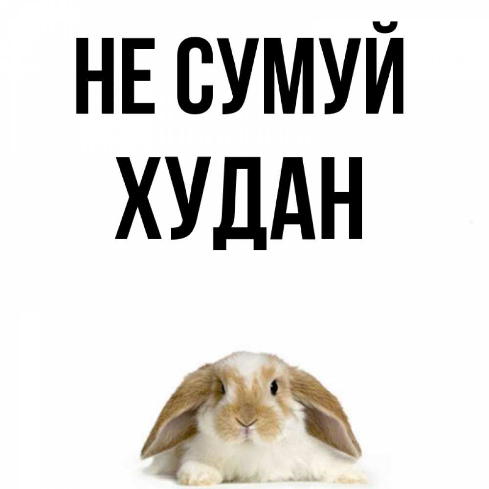 Открытка на каждый день з підписом, Худан Не сумуй коричнево белый заяц с большими ушками Прикольна листівка з побажанням онлайн скачати безкоштовно 