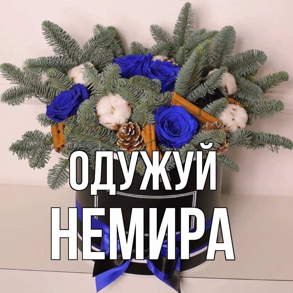 Открытка на каждый день з підписом, Немира Одужуй короче кто то загрузил эти шишки Прикольна листівка з побажанням онлайн скачати безкоштовно 