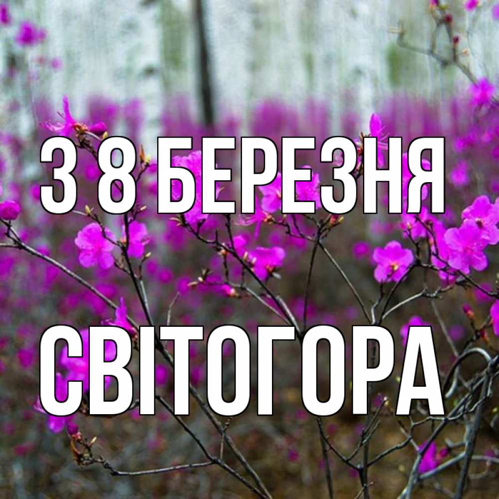 Открытка на каждый день з підписом, Світогора З 8 БЕРЕЗНЯ дикие цветы Прикольна листівка з побажанням онлайн скачати безкоштовно 