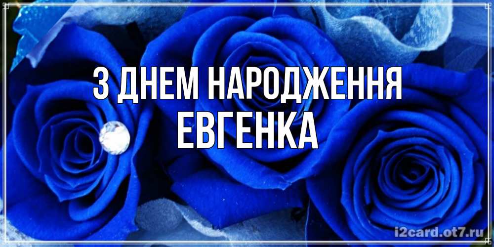 Открытка на каждый день з підписом, Евгенка З Днем народження синие розы в росе Прикольна листівка з побажанням онлайн скачати безкоштовно 