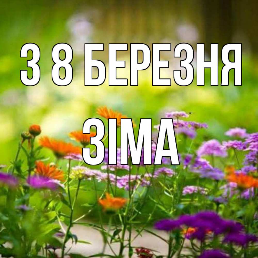 Открытка на каждый день з підписом, Зіма З 8 БЕРЕЗНЯ цветы Прикольна листівка з побажанням онлайн скачати безкоштовно 