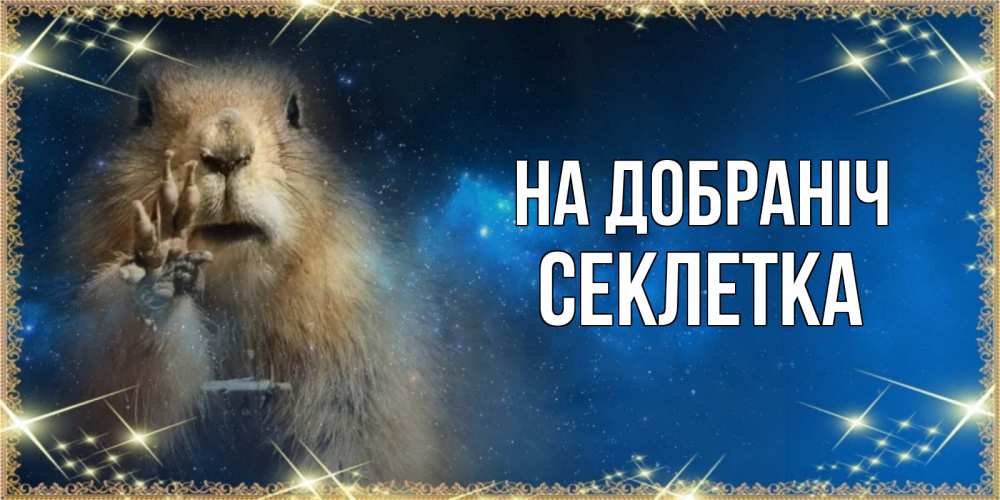 Открытка на каждый день з підписом, Секлетка На добраніч спокойной ночи сладких снов Прикольна листівка з побажанням онлайн скачати безкоштовно 