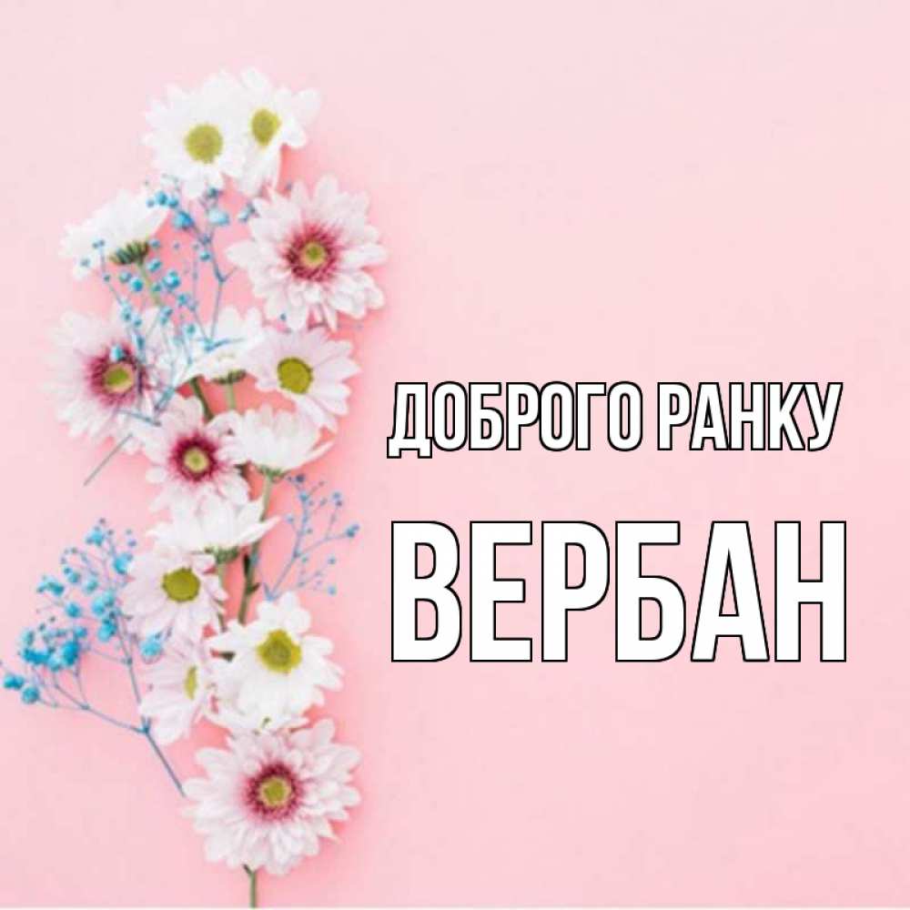Открытка на каждый день з підписом, Вербан Доброго ранку цветы с подписью Прикольна листівка з побажанням онлайн скачати безкоштовно 