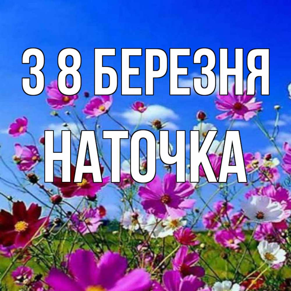 Открытка на каждый день з підписом, Наточка З 8 БЕРЕЗНЯ цветы Прикольна листівка з побажанням онлайн скачати безкоштовно 