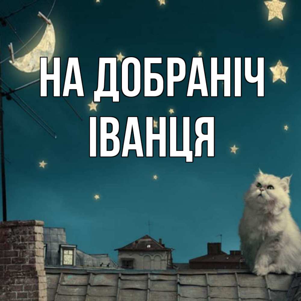 Открытка на каждый день з підписом, Іванця На добраніч белый кот сидит на крыше Прикольна листівка з побажанням онлайн скачати безкоштовно 
