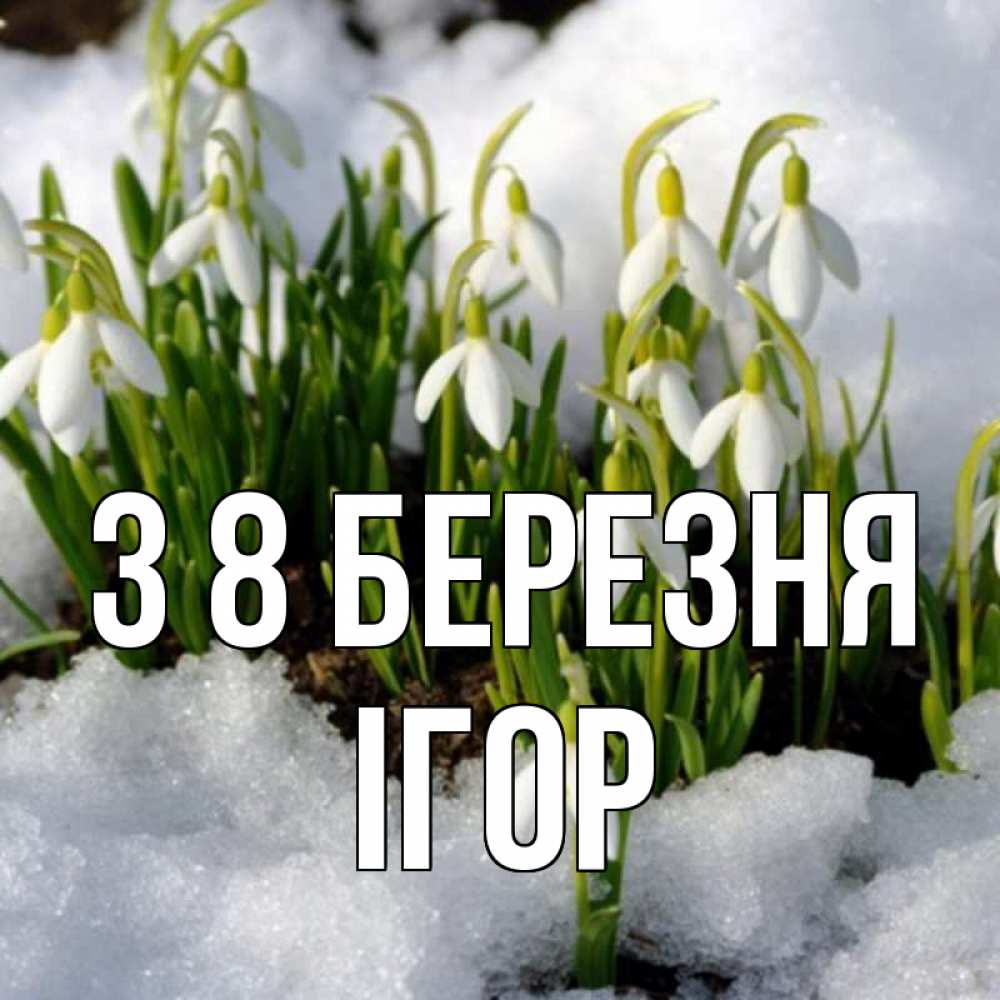 Открытка на каждый день з підписом, Ігор З 8 БЕРЕЗНЯ цветы весенние Прикольна листівка з побажанням онлайн скачати безкоштовно 