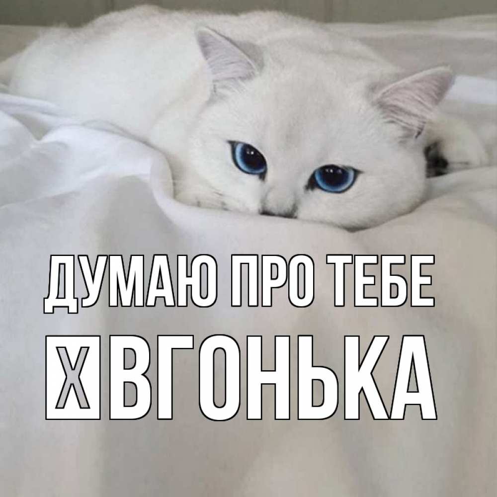 Открытка на каждый день з підписом, Ївгонька Думаю про тебе я очень по тебе скучаю и тоскую Прикольна листівка з побажанням онлайн скачати безкоштовно 
