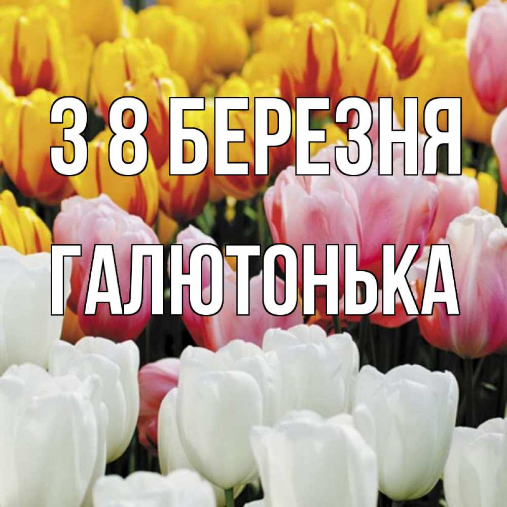 Открытка на каждый день з підписом, Галютонька З 8 БЕРЕЗНЯ разноцветные цветы Прикольна листівка з побажанням онлайн скачати безкоштовно 