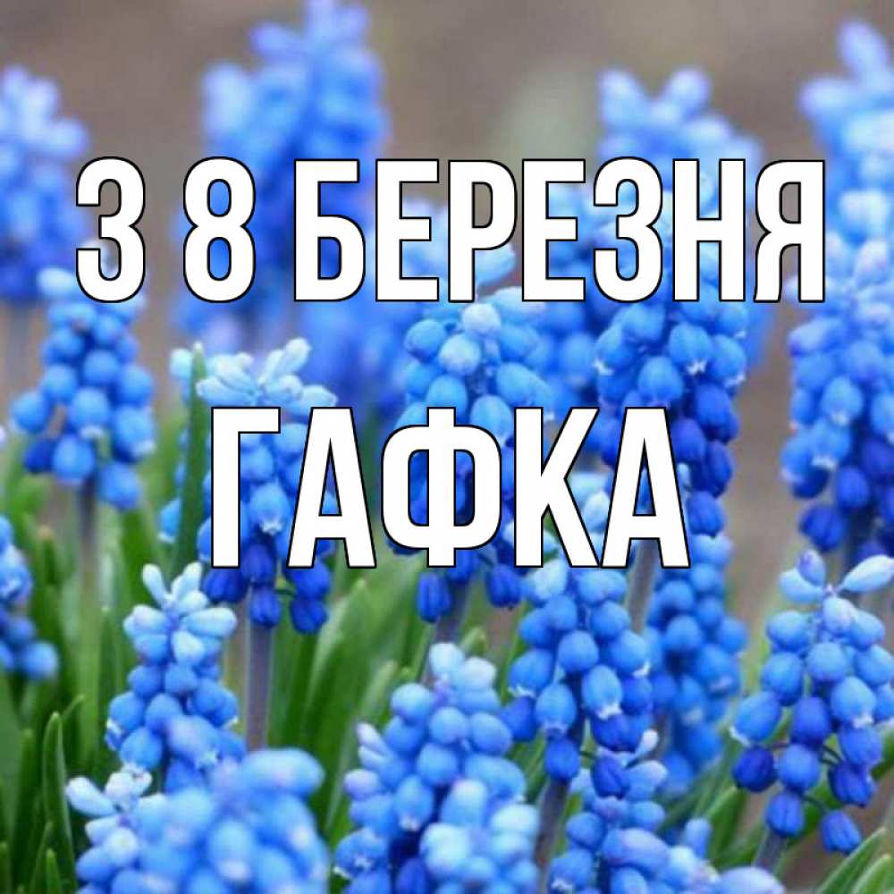 Открытка на каждый день з підписом, Гафка З 8 БЕРЕЗНЯ Поздравительная открытка для женщин с цветами на праздничную дату Прикольна листівка з побажанням онлайн скачати безкоштовно 