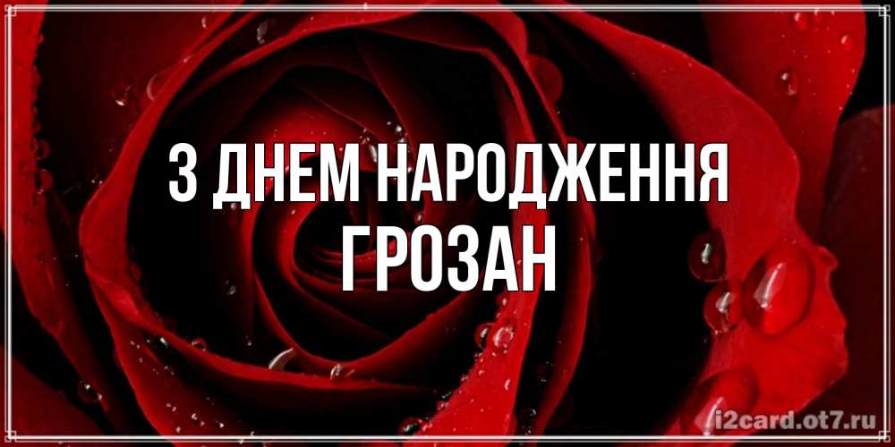 Открытка на каждый день з підписом, Грозан З Днем народження крупная бордовая роза Прикольна листівка з побажанням онлайн скачати безкоштовно 