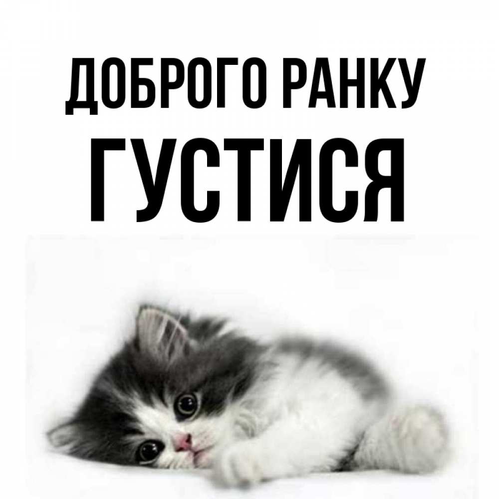 Открытка на каждый день з підписом, Густися Доброго ранку кот лапки Прикольна листівка з побажанням онлайн скачати безкоштовно 