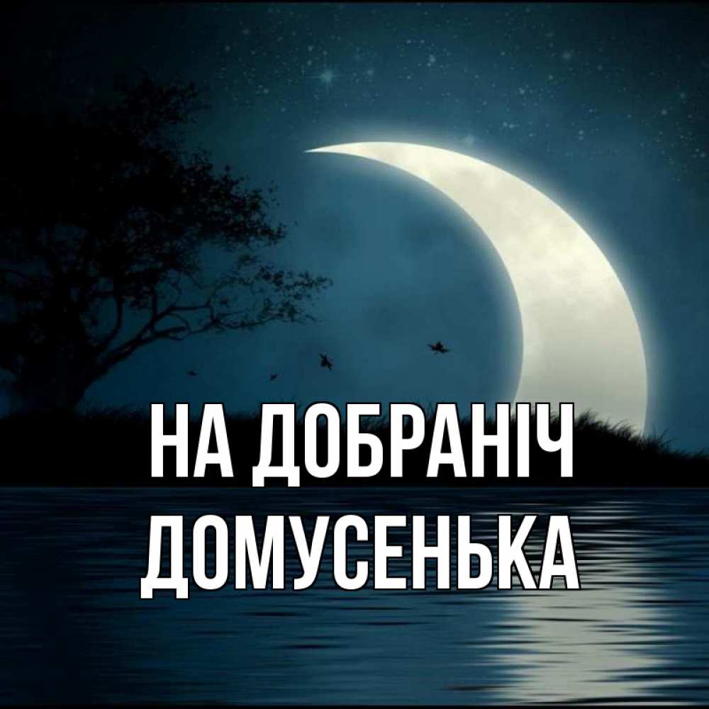 Открытка на каждый день з підписом, Домусенька На добраніч вода Прикольна листівка з побажанням онлайн скачати безкоштовно 