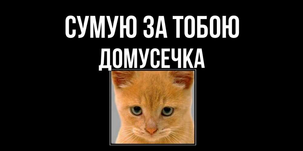 Открытка на каждый день з підписом, Домусечка Сумую за тобою открытки рыжий котенок скучает по тебе Прикольна листівка з побажанням онлайн скачати безкоштовно 