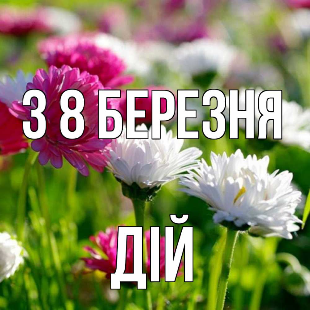 Открытка на каждый день з підписом, Дій З 8 БЕРЕЗНЯ международный женский день 1 Прикольна листівка з побажанням онлайн скачати безкоштовно 
