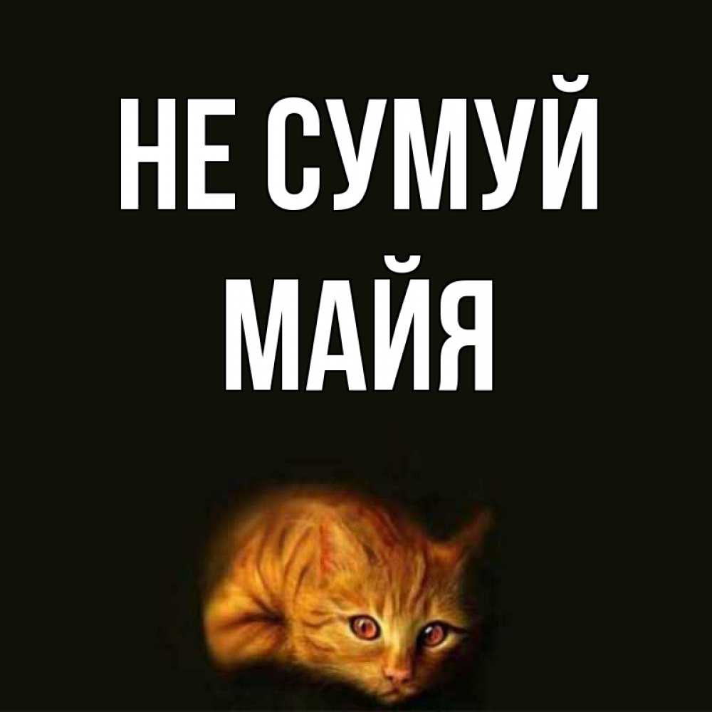 Открытка на каждый день з підписом, Майя Не сумуй лежащий кот в темноте Прикольна листівка з побажанням онлайн скачати безкоштовно 