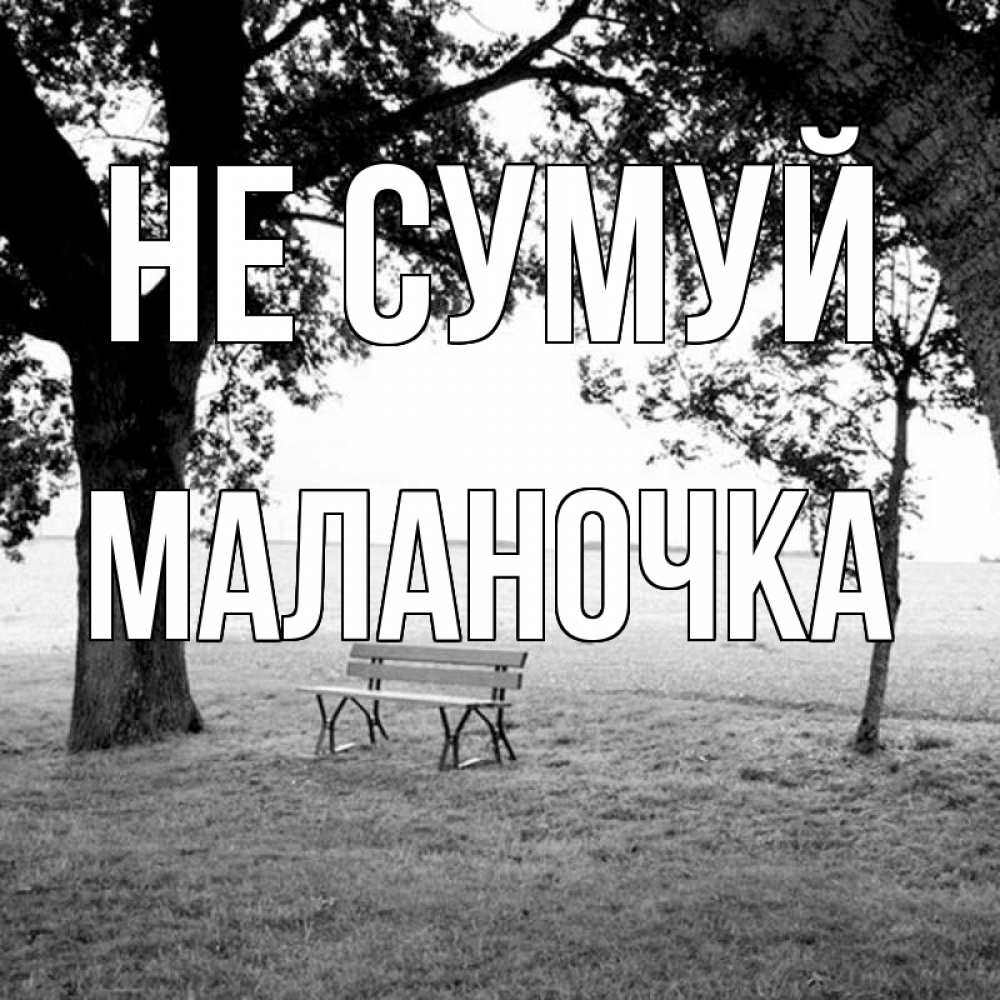 Открытка на каждый день з підписом, Маланочка Не сумуй мощное дерево Прикольна листівка з побажанням онлайн скачати безкоштовно 