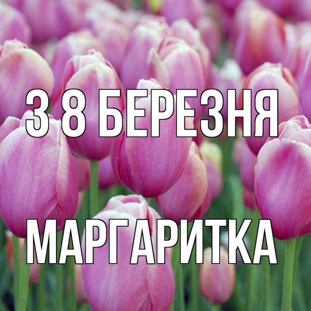 Открытка на каждый день з підписом, Маргаритка З 8 БЕРЕЗНЯ на международный женский день 3 Прикольна листівка з побажанням онлайн скачати безкоштовно 