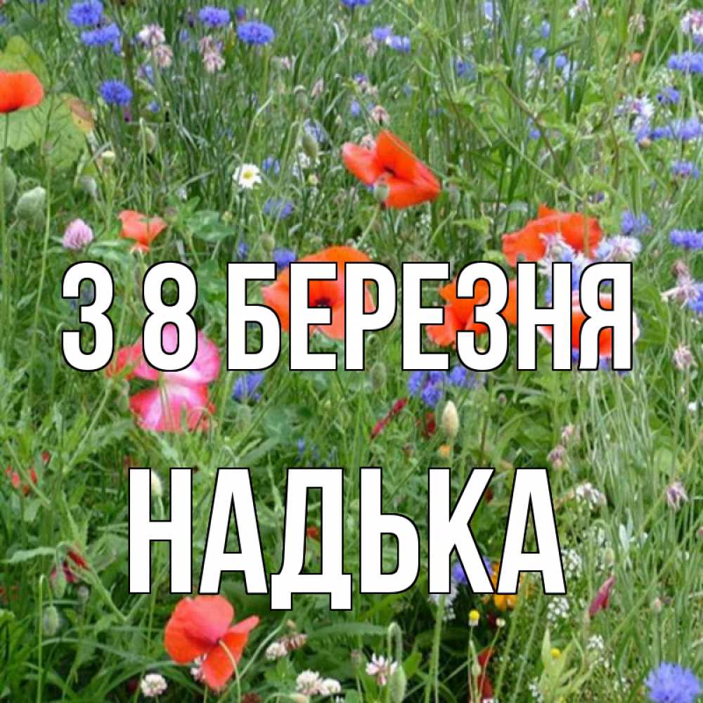 Открытка на каждый день з підписом, Надька З 8 БЕРЕЗНЯ международный женский день 4 Прикольна листівка з побажанням онлайн скачати безкоштовно 