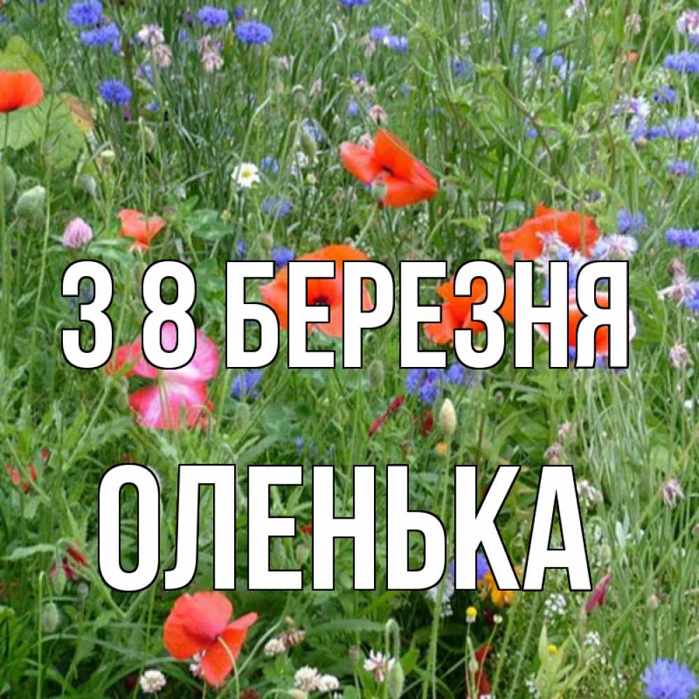 Открытка на каждый день з підписом, Оленька З 8 БЕРЕЗНЯ международный женский день 4 Прикольна листівка з побажанням онлайн скачати безкоштовно 