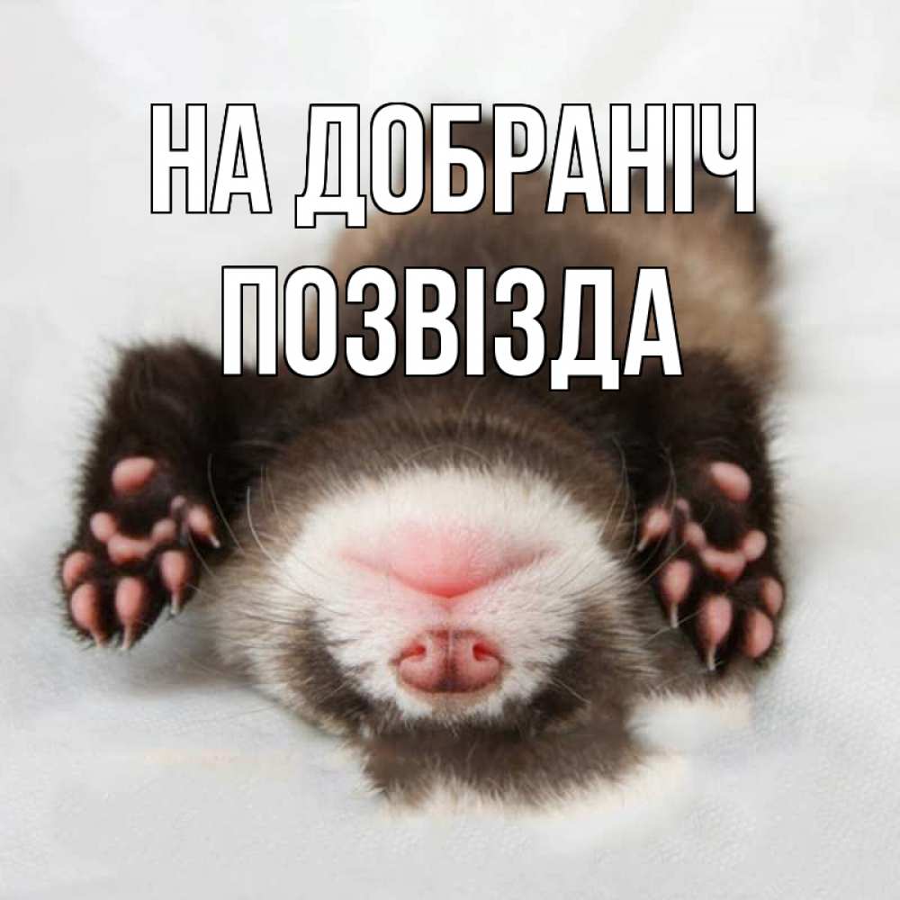 Открытка на каждый день з підписом, Позвізда На добраніч зверек Прикольна листівка з побажанням онлайн скачати безкоштовно 